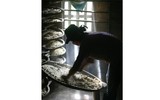 Nét đẹp phụ nữ Việt Nam qua 